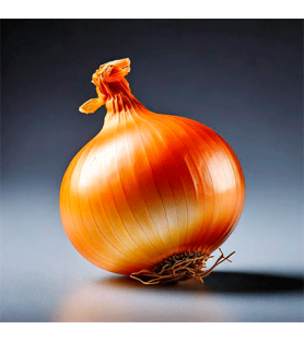 Onion Plus flavour Natural Oilsoluble